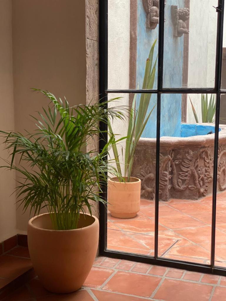Casa Laberinto Hotel San Miguel de Allende Bagian luar foto
